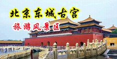 国产用鸡吧操逼中国北京-东城古宫旅游风景区